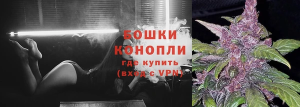 спиды Новодвинск