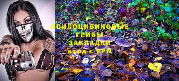 спиды Новодвинск