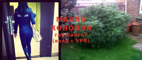 индика Дрезна